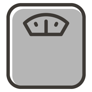 scale icon